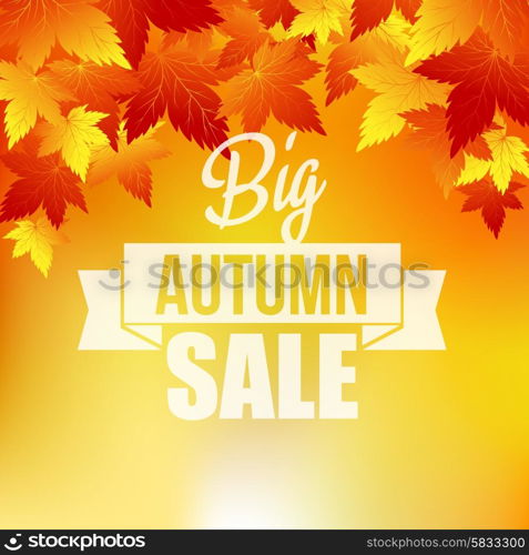 Autumn background with leaves. . Autumn background with leaves. Vector illustration Eps10.