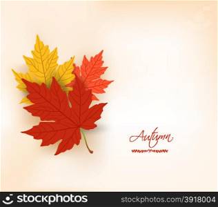 Autumn background with leaves. Back to school