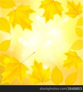 Autumn background with leaves. Back to school. Vector