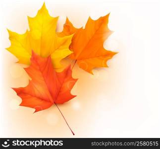 Autumn background with leaves. Back to school. Vector illustration