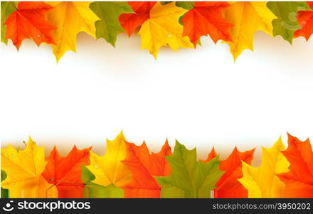 Autumn background with leaves. Back to school. Vector illustration.