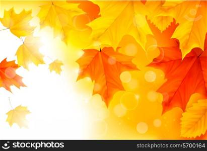 Autumn background with leaves Back to school Vector illustration