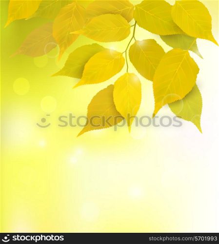 Autumn background with leaves. Back to school. Vector illustration.