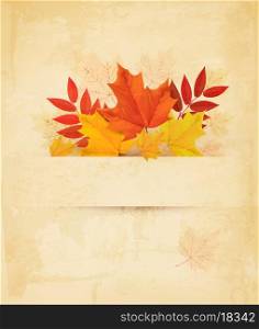 Autumn background with leaves. Vector.