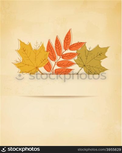 Autumn background with leaves. Vector.