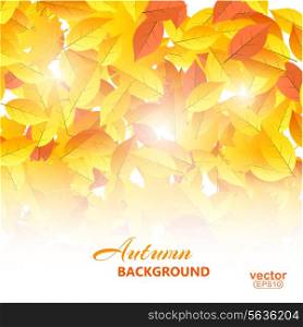 Autumn background with leaves. Vector illustration.