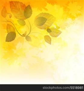 Autumn Background With Maple Leafs And Ornate