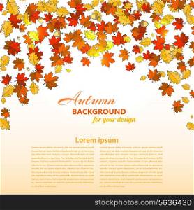 Autumn background with maple leaves and oak. Vector illustration.