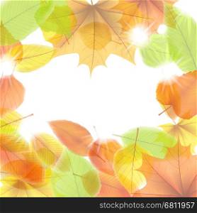 Autumn background with maple leaves. plus EPS10 vector file