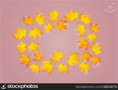 autumn background with maple leaves with yellow, orange colors, vector. autumn background with maple leaves