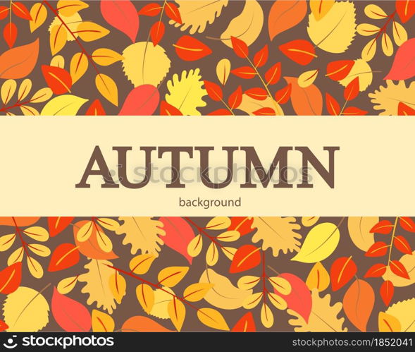 Autumn background with orange red and yellow leaves. Vector illustration of fall deciduous banner. Template for postcards, congratulations, advertising.. Autumn background with orange red and yellow leaves.