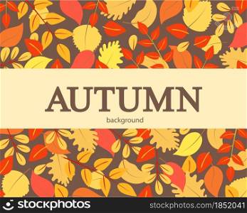 Autumn background with orange red and yellow leaves. Vector illustration of fall deciduous banner. Template for postcards, congratulations, advertising.. Autumn background with orange red and yellow leaves.