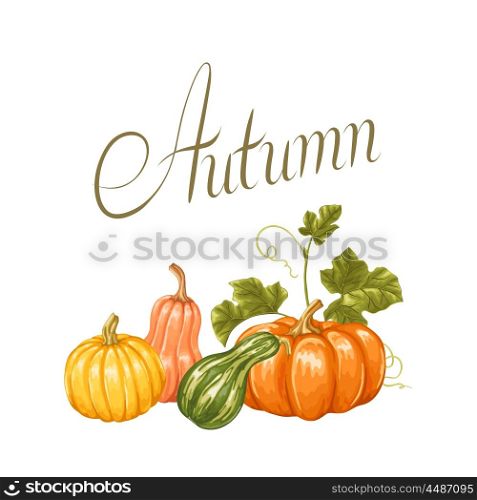 Autumn background with pumpkins. Decorative illustration from vegetables and leaves. Autumn background with pumpkins. Decorative illustration from vegetables and leaves.