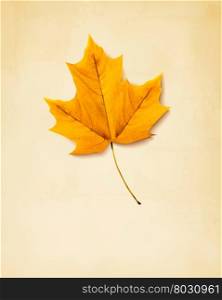 Autumn background with yellow leaf. Vector.