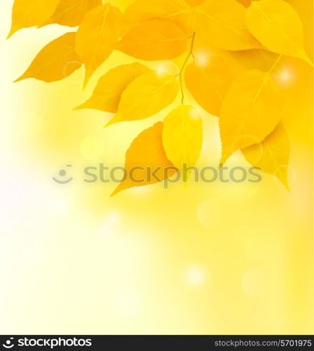 Autumn background with yellow leaves. Back to school. Vector illustration.