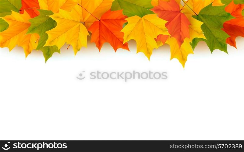 Autumn background with yellow leaves. Back to school. Vector illustration.