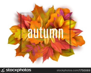 Autumn banner. Leaves background. Card with realistic orange red yellow leaves. Autumn bouquet vector illustration. Autumn flora, foliage yellow or red, realistic bouquet. Autumn banner. Leaves background. Card with realistic orange red yellow leaves. Autumn bouquet vector illustration
