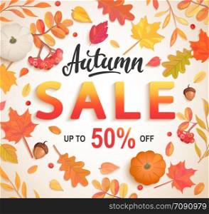 Autumn big sale banner, 50 percent discount card with scattered seasonal fall leaves,rowan, pumpkin,acorn for shopping promotions,prints,flyers,invitations, special offer poster.Top view.Vector. Autumn big sale banner, 50 percent discount card.