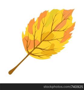 Autumn Birch Leaf. Fall Collection. Vector illustration.