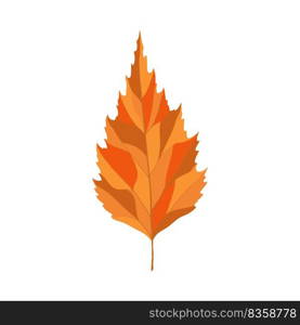 Autumn birch tree leaf. Leaf fall. Vector illustration.