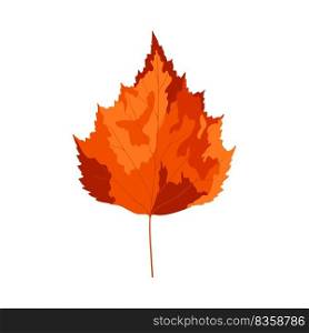 Autumn birch tree leaf. Leaf fall. Vector illustration.