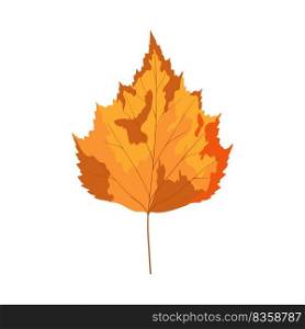Autumn birch tree leaf. Leaf fall. Vector illustration.