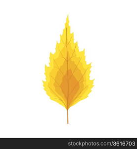 Autumn birch tree leaf. Leaf fall. Vector illustration.