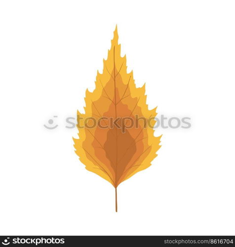 Autumn birch tree leaf. Leaf fall. Vector illustration.