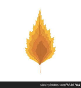 Autumn birch tree leaf. Leaf fall. Vector illustration.