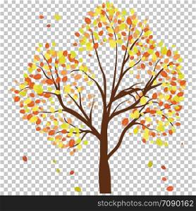 Autumn birch tree with falling leaves background. Vector illustration.