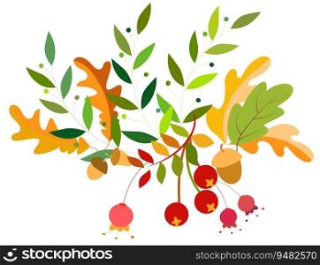 Autumn bouquet of leaves, berries and acorns. Autumn collection. For your design. Vector illustration.