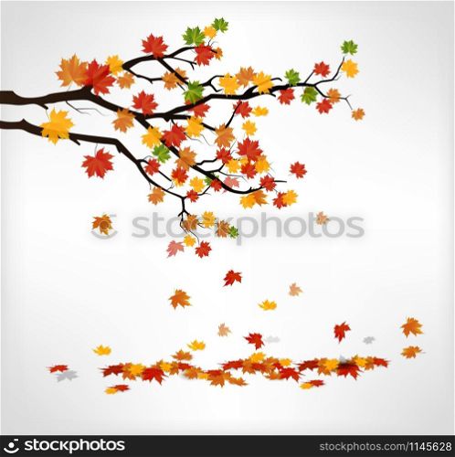 Autumn branch with falling leaves. Vector