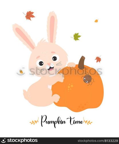 Autumn card with Cute rabbit with pumpkin, spider and autumn leaves. Vector illustration with funny bunny character. Autumn poster - Pumpkin time. For design, print, postcards, flyers, booklet, print