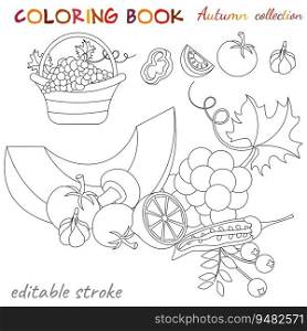 Autumn collection. Fruits and vegetables. Autumn still life. Relaxation coloring template. Editable vector illustration.