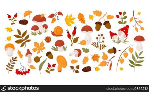 Autumn collection leaves, forest mushrooms, berries, cone, acorns, rosehip, chestnut, snail and mountain ash. Vector illustration. Isolated colored drawing in cartoon style for autumn design, decor