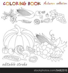 Autumn collection. Pumpkins, grapes, corn. Autumn still life. Relaxation coloring template. Editable vector illustration.