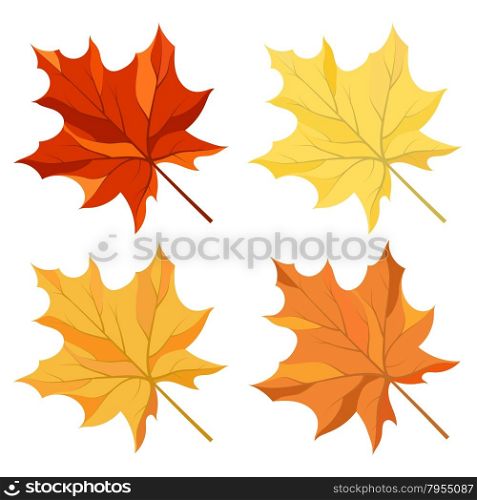 Autumn color maple leaves set