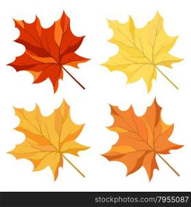Autumn color maple leaves set