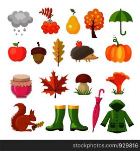 Autumn colored symbols. Vector icon set of autumn. Plant and mushroom, squirrel and hedgehog illustration. Autumn colored symbols. Vector icon set of autumn