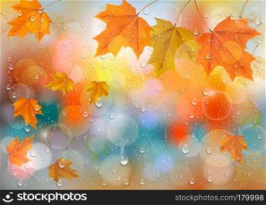 Autumn colorful background with leaves and raindrops on the window. Vector background. Vector