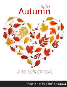 Autumn colorful forest leaves, berries, cones, acorns, viburnumin the shape of a heart Sale Card. Vector.