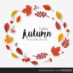 Autumn colorful forest leaves, berries, cones, acorns, viburnumin the shape of a ring Sale Frame. Vector.