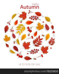 Autumn Colorful Leaves Sale Background with forest leaves, a red berries, viburnum . Vector.