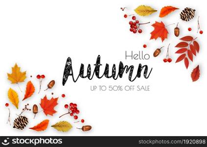 Autumn Colorful Leaves Sale Background with forest leaves, berries, cone, acorn, viburnum . Vector.