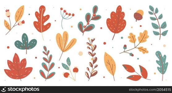 Autumn colorful set. Collection of hand drawn fallen leaves seasonal vector illustration. Autumn set. Collection of hand drawn fallen leaves seasonal vector illustration