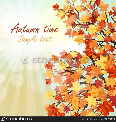 Autumn copy-space frame with maple leaves