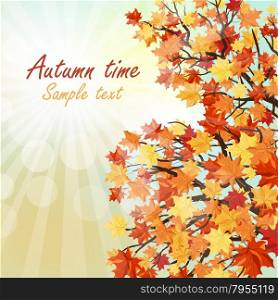 Autumn copy-space frame with maple leaves
