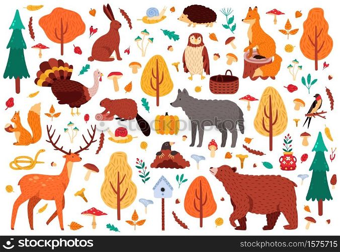 Autumn cute animals. Wild hand drawn bear raccoon fox and deer characters, woodland birds and animals isolated vector illustration icons set. Woodland bird and bear, autumn deer and forest fox. Autumn cute animals. Wild hand drawn bear raccoon fox and deer characters, woodland birds and animals isolated vector illustration icons set