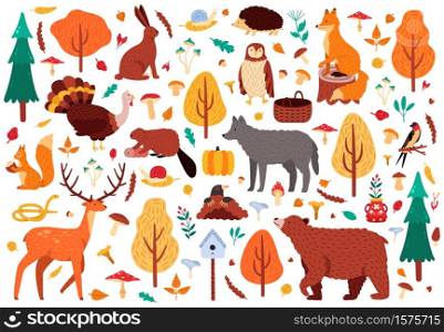 Autumn cute animals. Wild hand drawn bear raccoon fox and deer characters, woodland birds and animals isolated vector illustration icons set. Woodland bird and bear, autumn deer and forest fox. Autumn cute animals. Wild hand drawn bear raccoon fox and deer characters, woodland birds and animals isolated vector illustration icons set