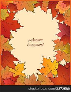 Autumn cute card with maple. Vector